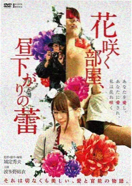 沙丘以南海报